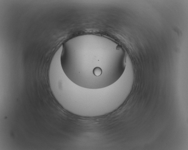 X0000116481444200912292037