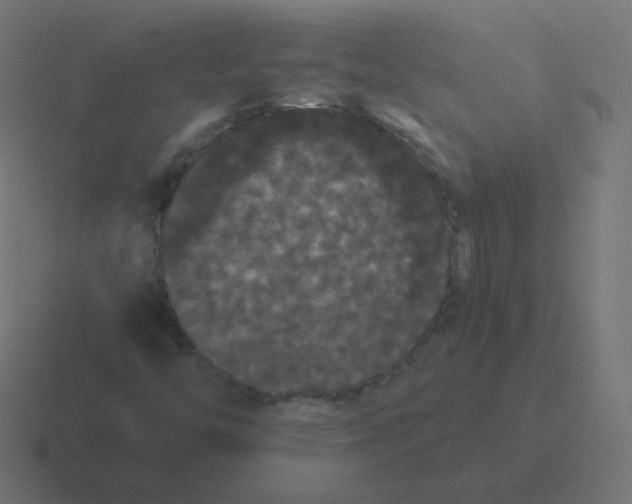 X0000116481446200912292037