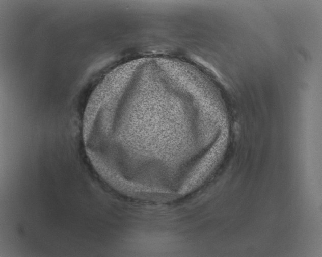 X0000116481447200912292037