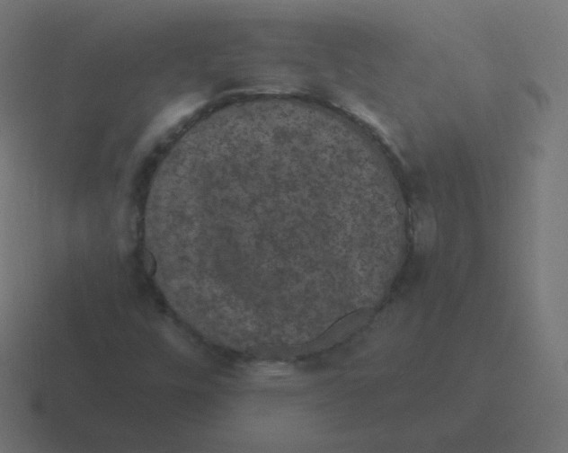 X0000116481448200912292037