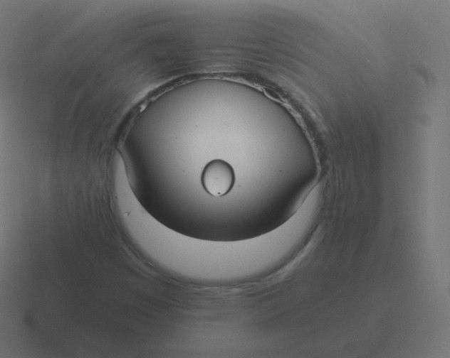 X0000116481449200912292037