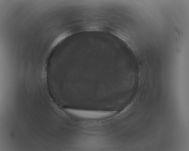 X0000116481450200912292037