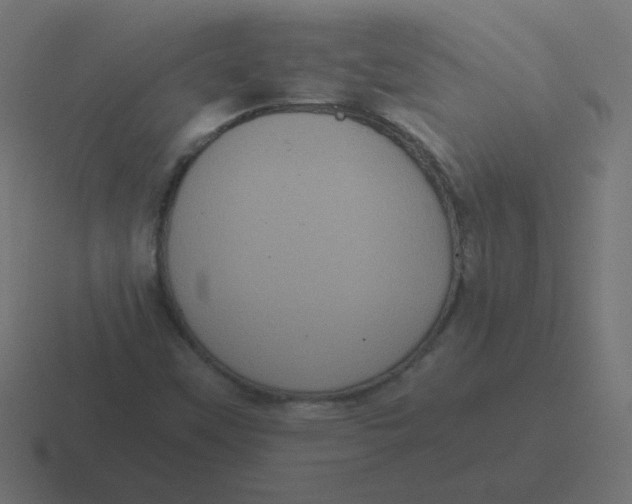 X0000116481451200912292037