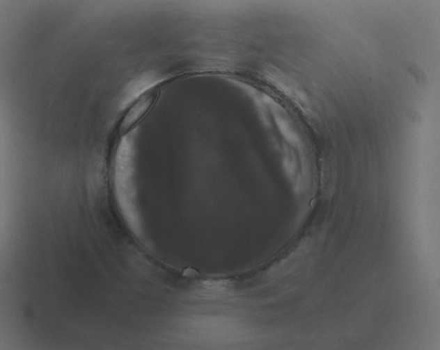 X0000116481453200912292037