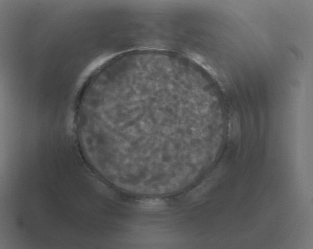 X0000116481454200912292037