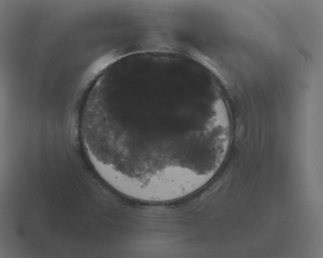 X0000116481455200912292037