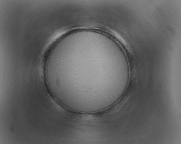 X0000116481456200912292037