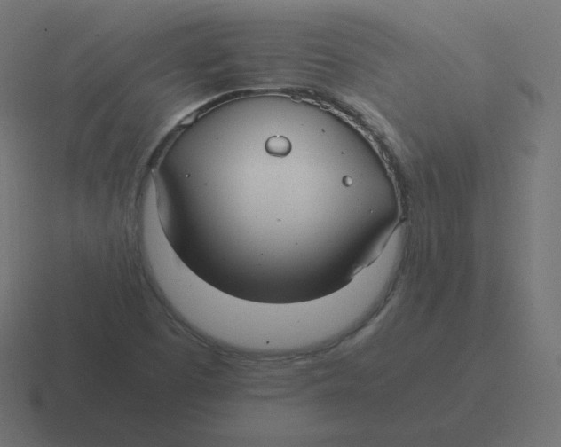 X0000116481457200912292037