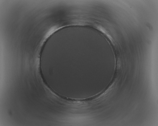 X0000116481459200912292037