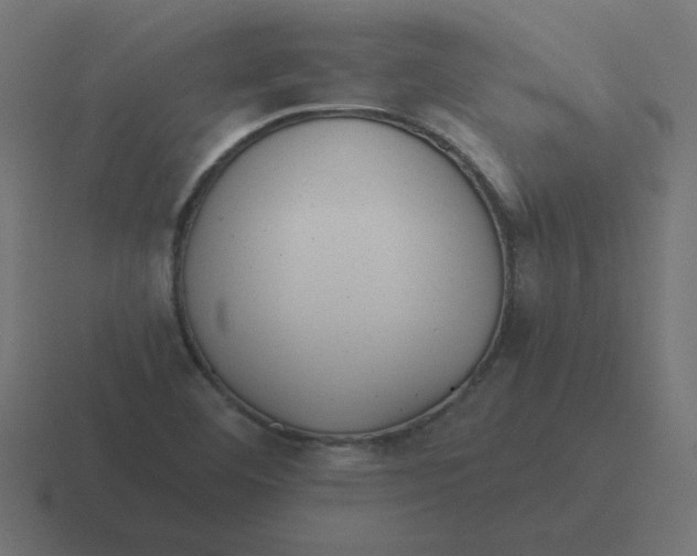 X0000116481460200912292037