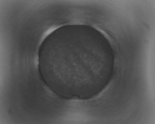 X0000116481461200912292036