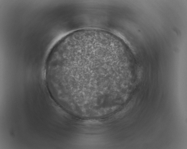 X0000116481462200912292036