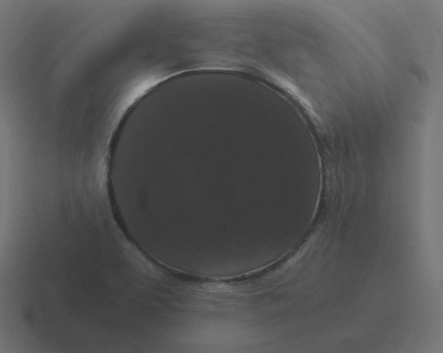 X0000116481463200912292036