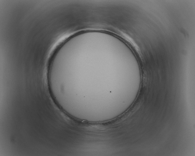 X0000116481464200912292036