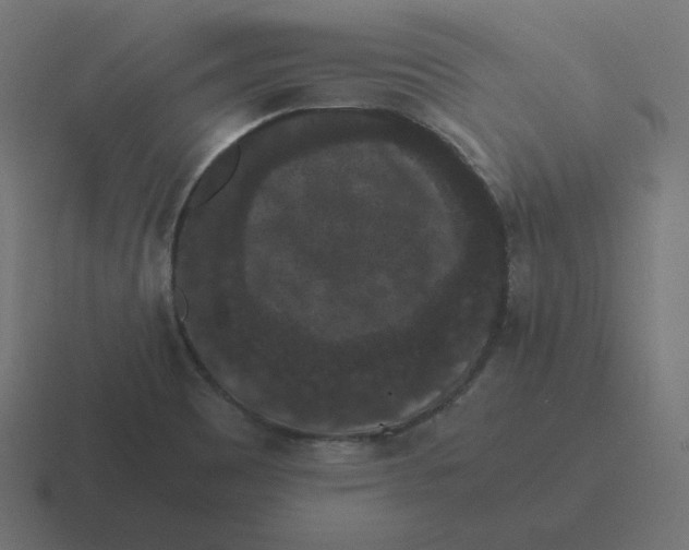 X0000116481465200912292036