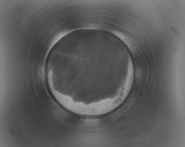 X0000116481466200912292036