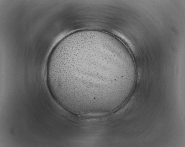 X0000116481467200912292036