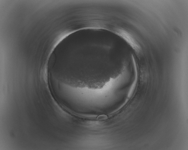 X0000116481468200912292036