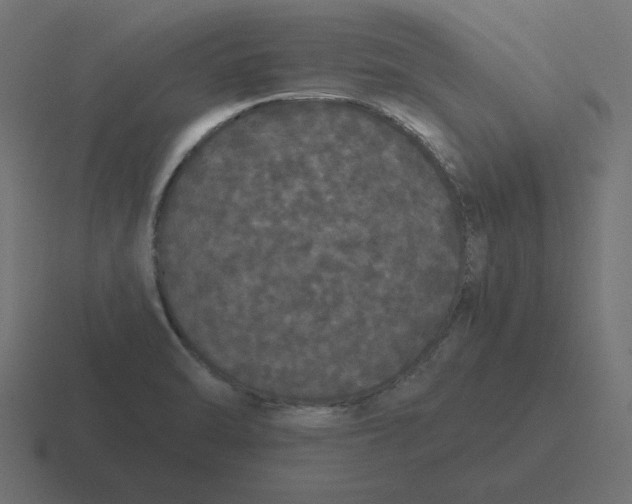 X0000116481470200912292036