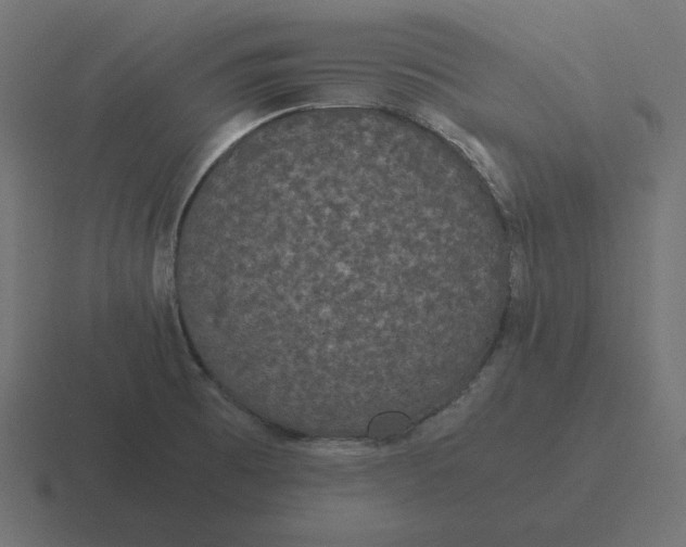 X0000116481473200912292036