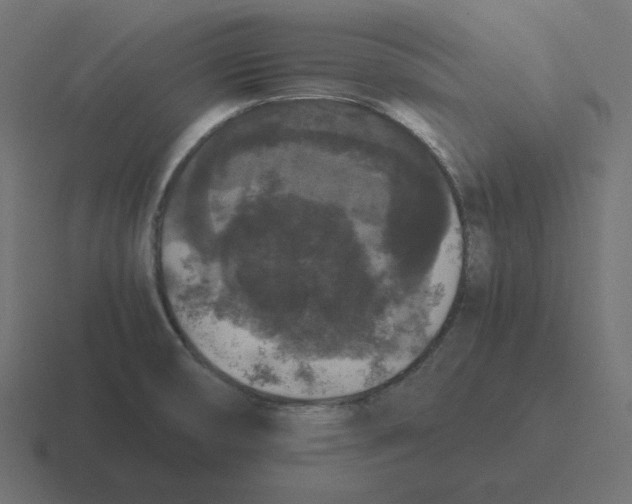 X0000116481474200912292036