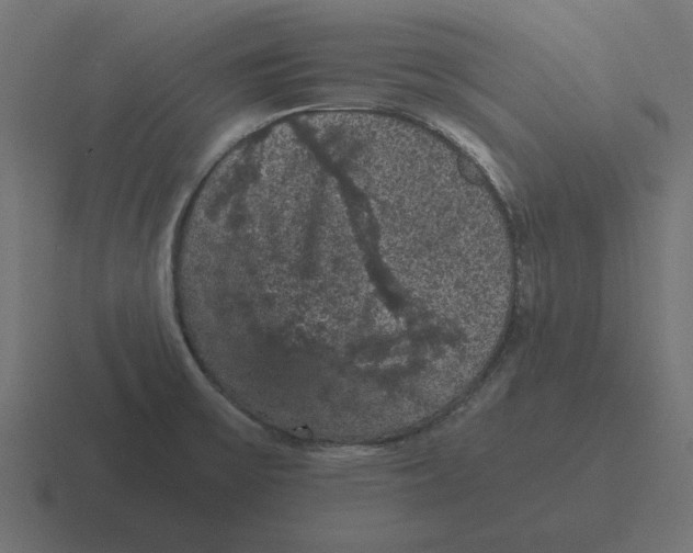 X0000116481475200912292036