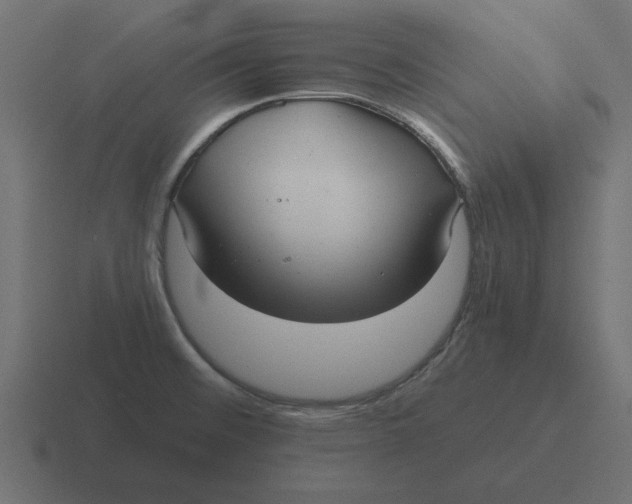 X0000116481476200912292036