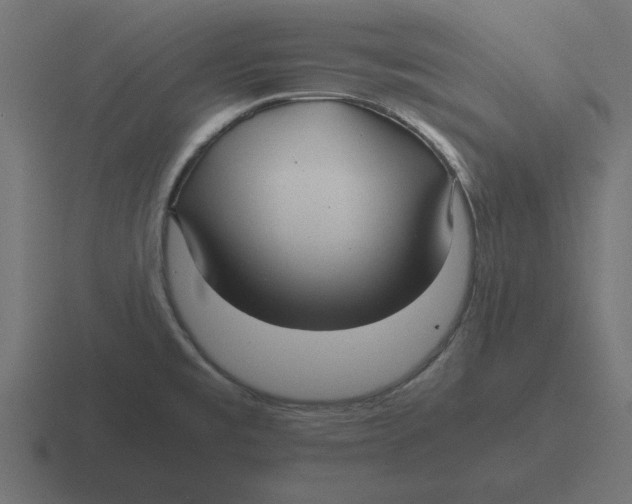 X0000116481477200912292036