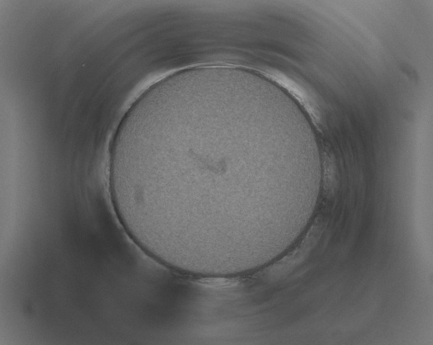 X0000116481478200912292036