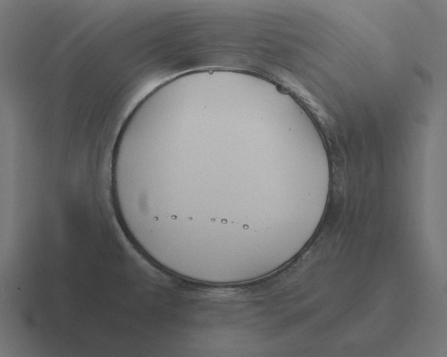 X0000116481479200912292036