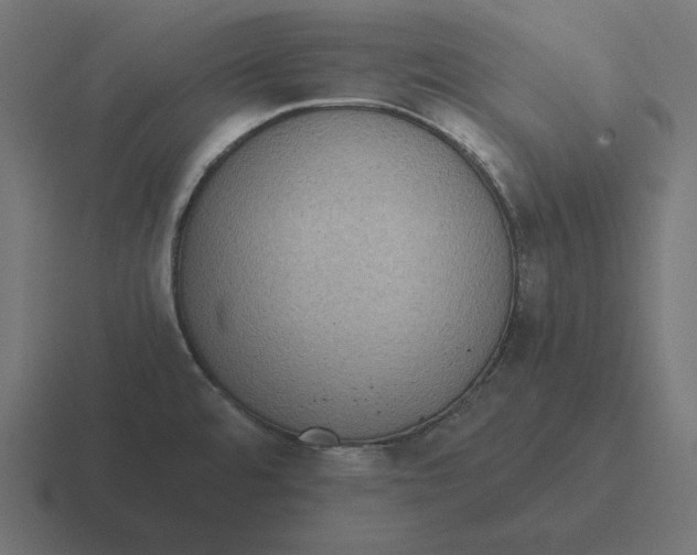 X0000116481480200912292036