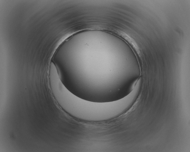 X0000116481481200912292036