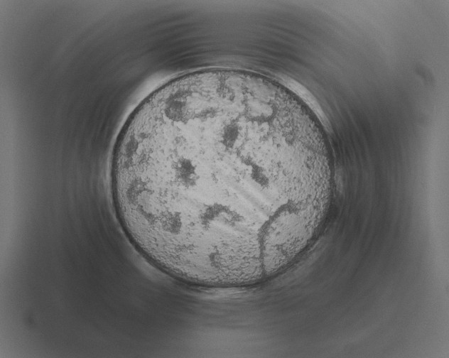 X0000116481482200912292036