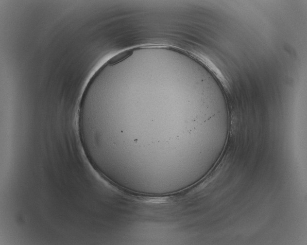 X0000116481484200912292036