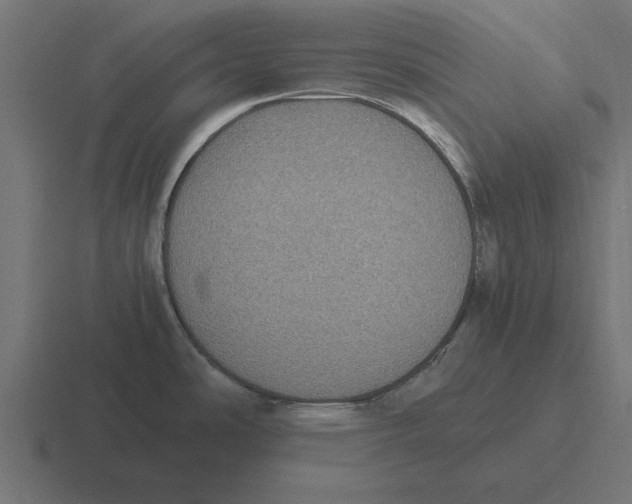 X0000116481486200912292036