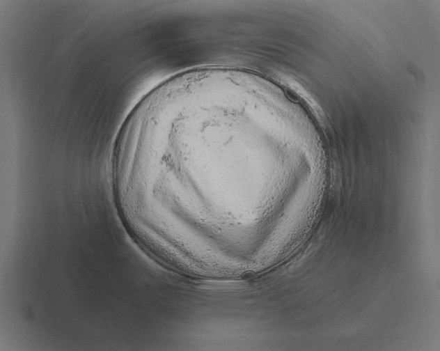 X0000116481487200912292036