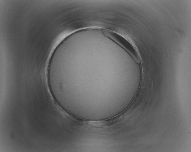 X0000116481488200912292036