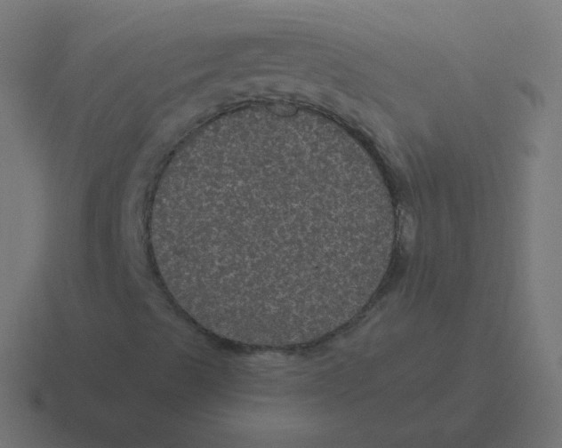 X0000116481489200912292036