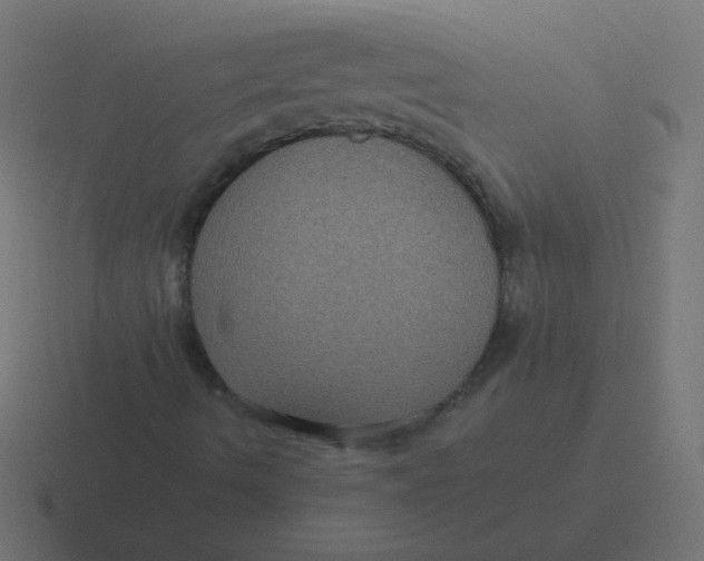 X0000116481490200912292036