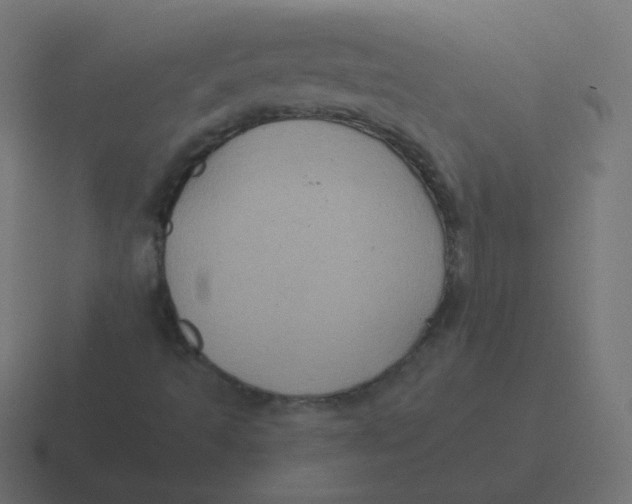 X0000116481493200912292036