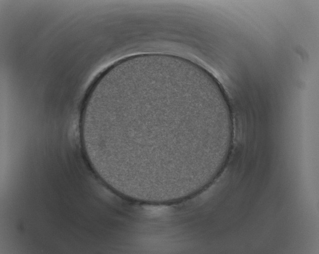 X0000116481498200912292036