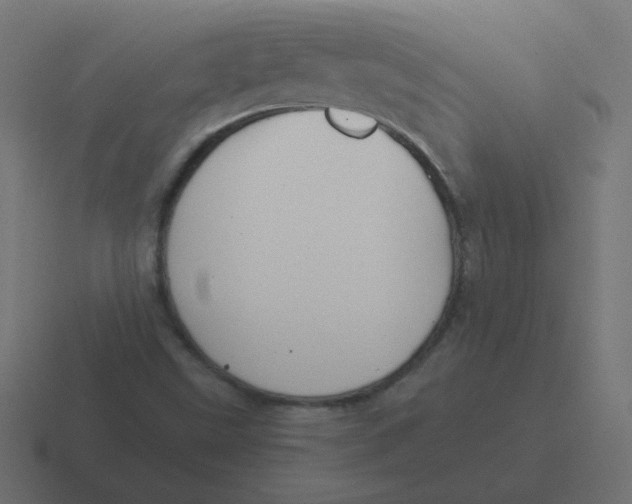 X0000116481499200912292036