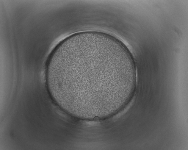 X0000116481501200912292036