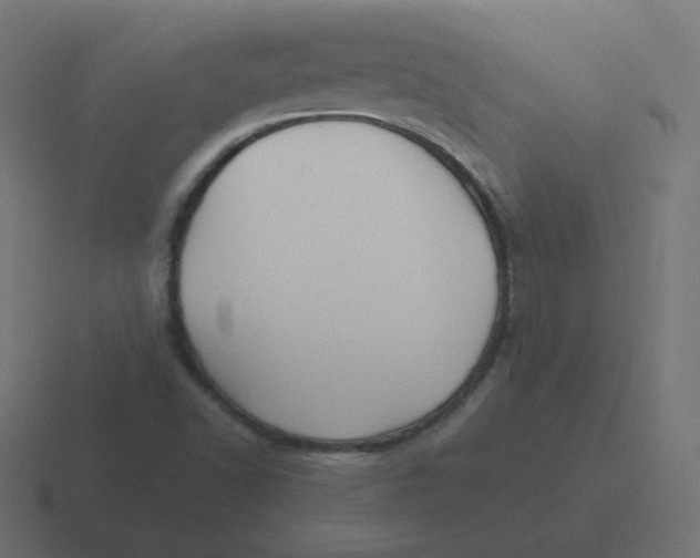 X0000116481502200912292036