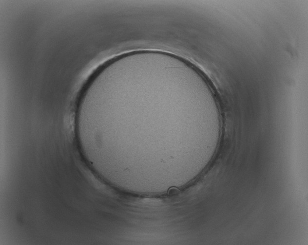 X0000116481503200912292036