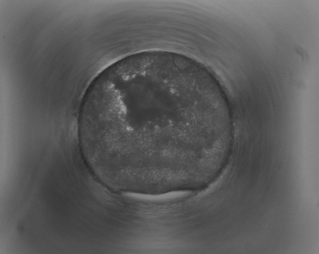 X0000116481505200912292036