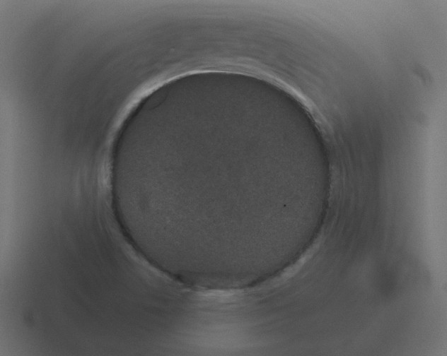 X0000116481506200912292036