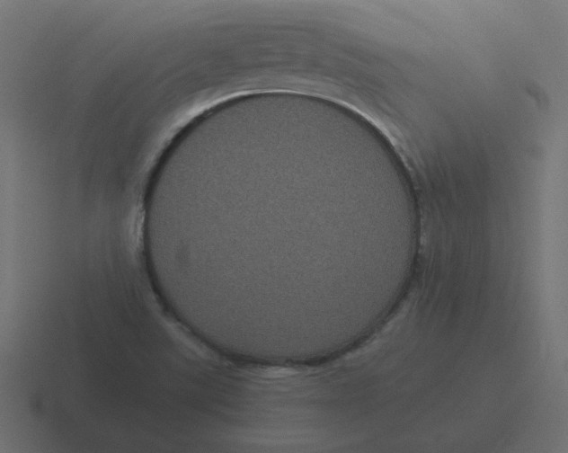 X0000116481507200912292036