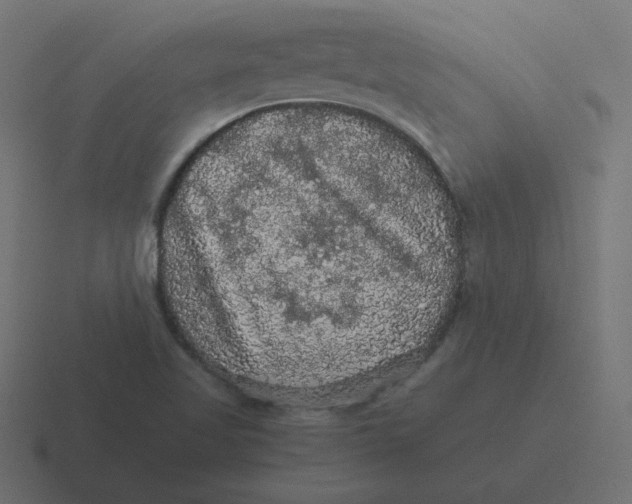 X0000116481509200912292036