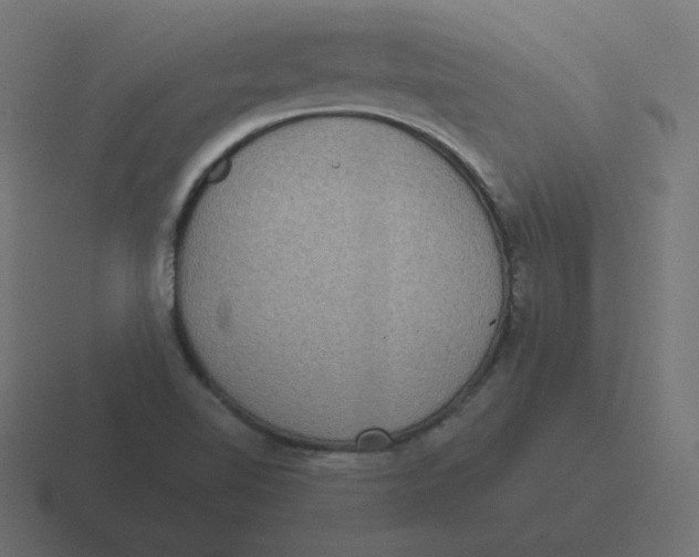 X0000116481510200912292036